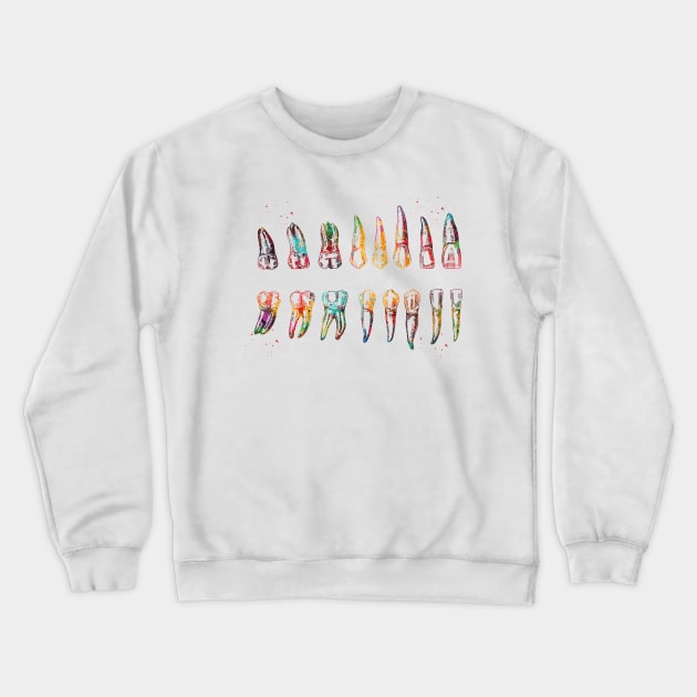 Teeth Diagram Crewneck Sweatshirt by erzebeth